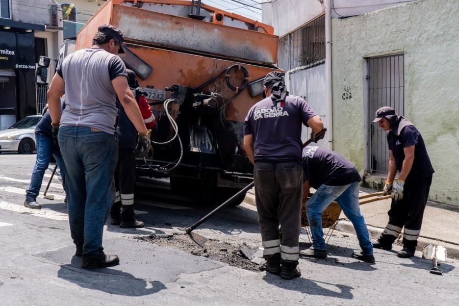 PRF recolhe 23 cavalos abandonados em rodovias do Recife e Zona da Mata de  Pernambuco - Folha PE